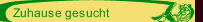 Zuhause gesucht
