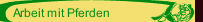 Arbeit mit Pferden